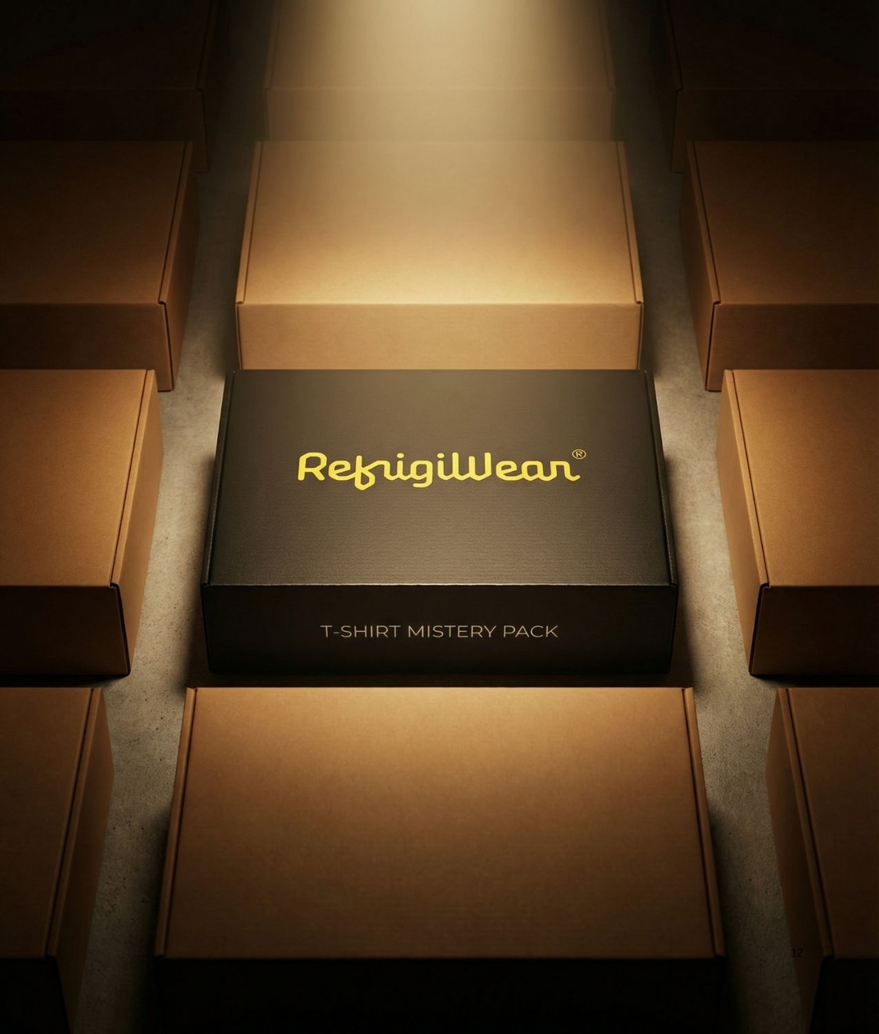 T-SHIRT T-SHIRT MISTERY PACK MISTERY | RefrigiWear