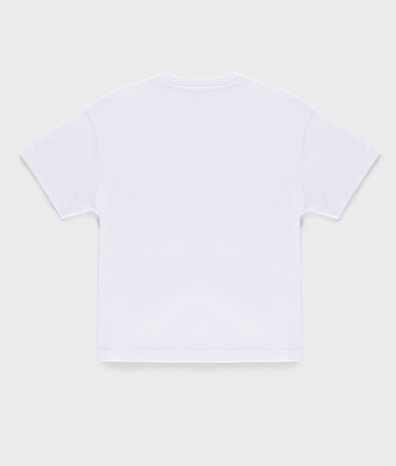 T-SHIRT DUBLIN T-SHIRT WHITE | RefrigiWear