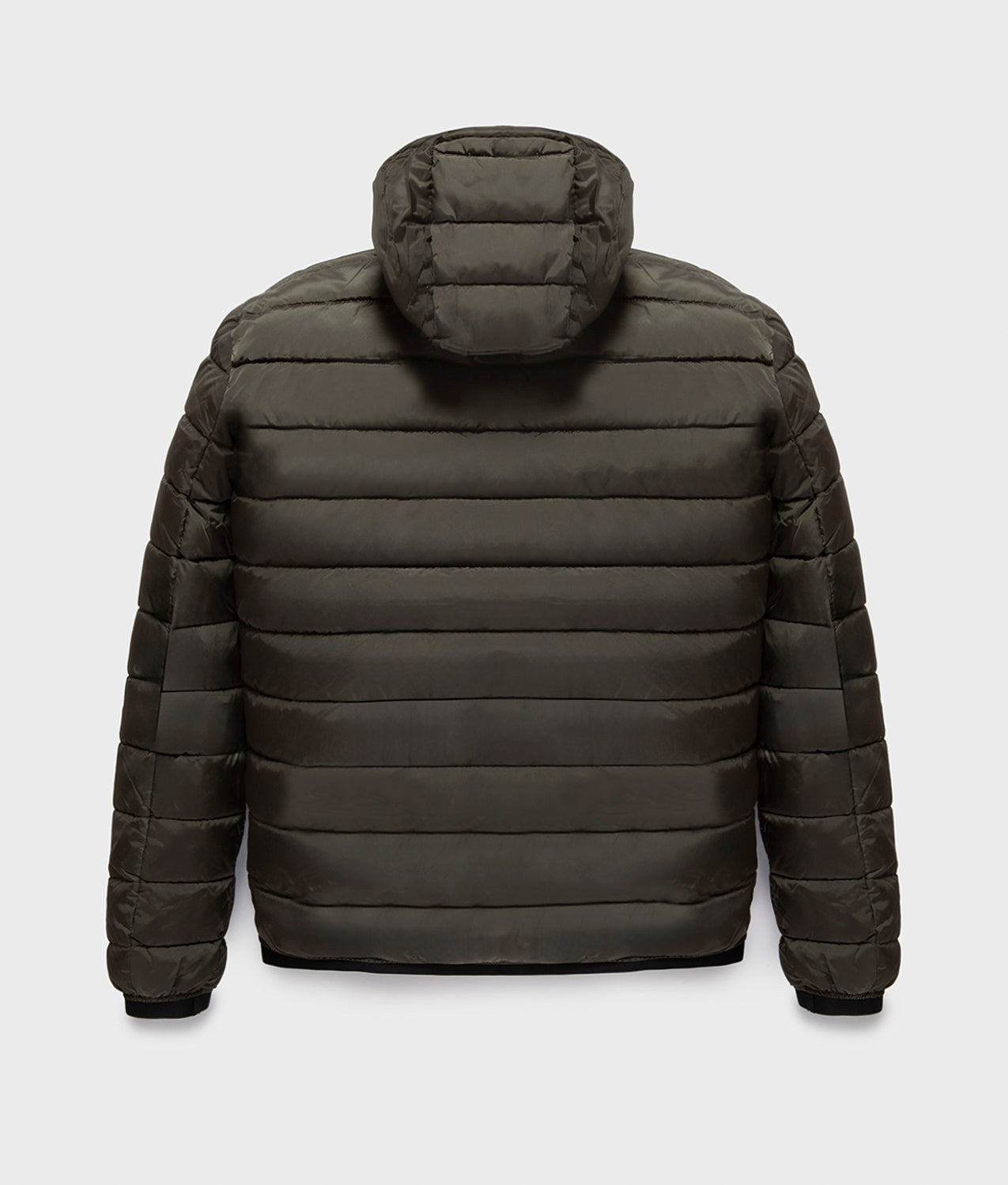 JACKETS JOSH JACKET SEA TURTLE | RefrigiWear
