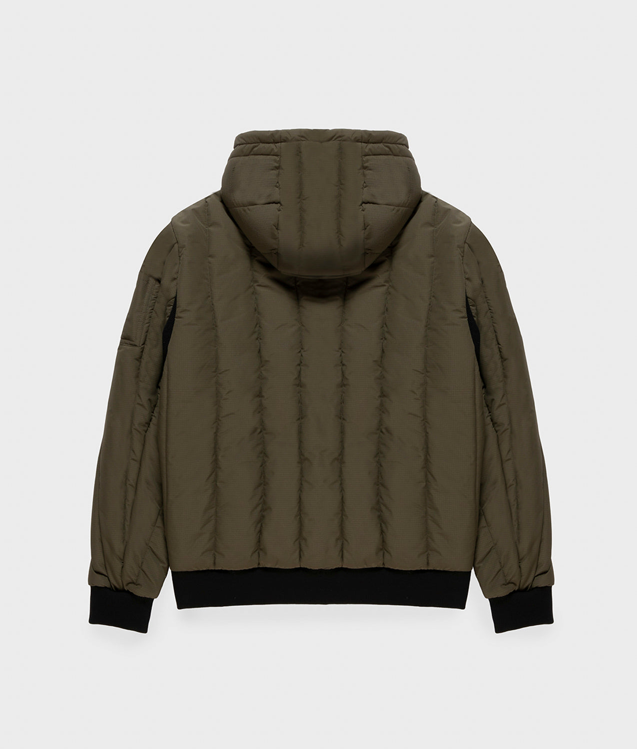 JACKETS BLUNT JACKET SEA TURTLE | RefrigiWear