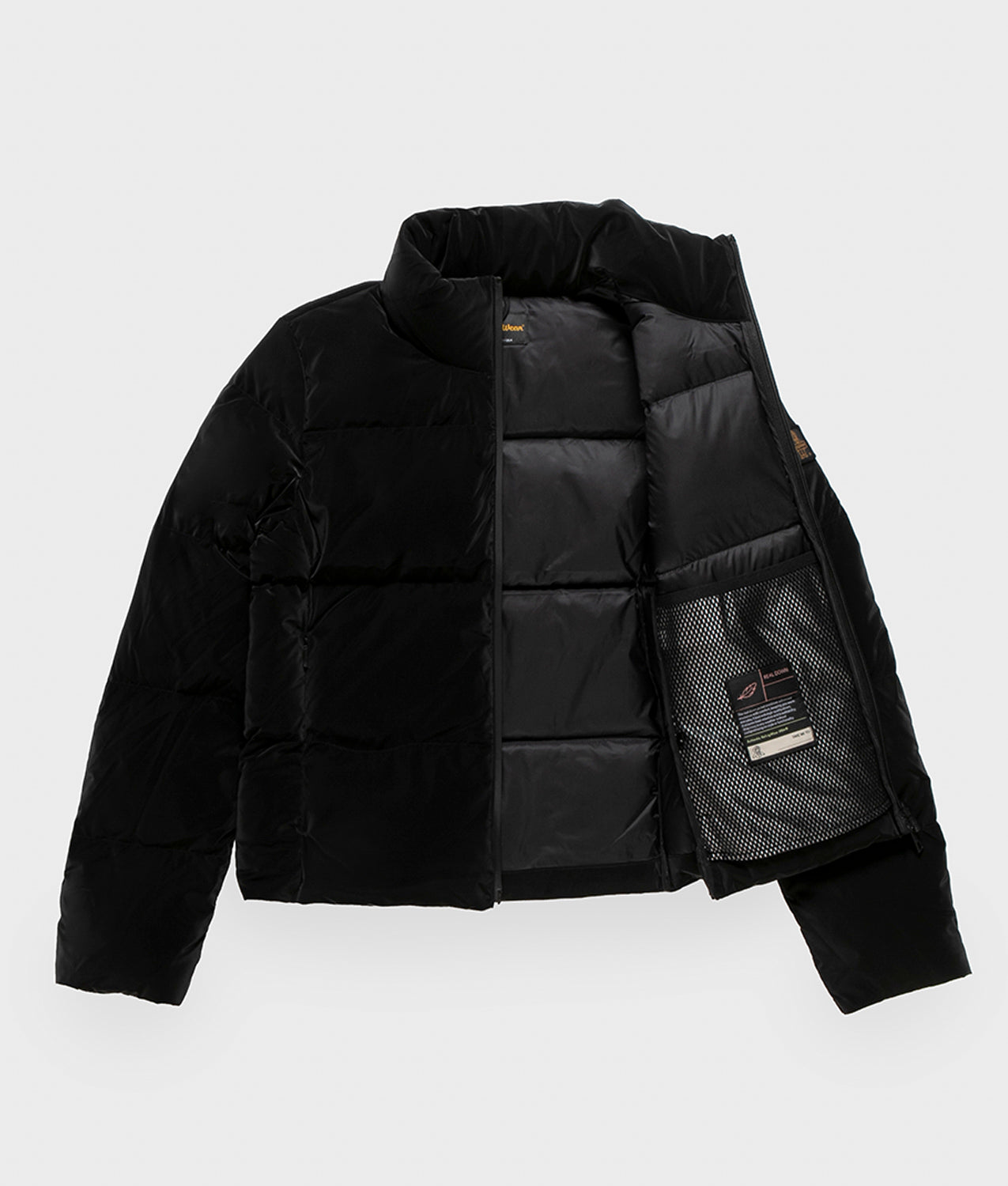 ELLIS JACKET