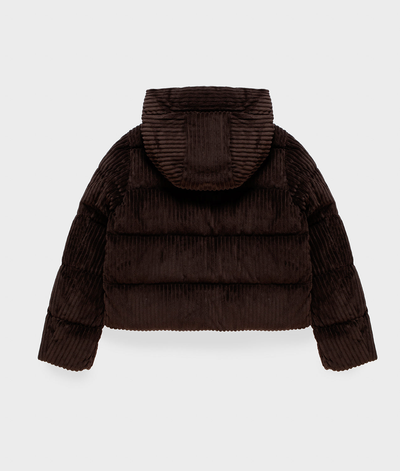VELVET BRAFFY JACKET